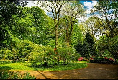 Jardinier paysagiste Ambarès